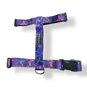 Arnés "H" Mariposas