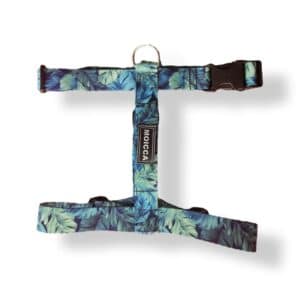 Arnés "H" Plantitas