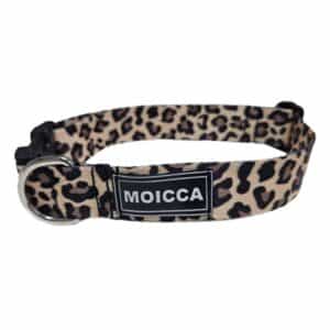 Collar Animal Print